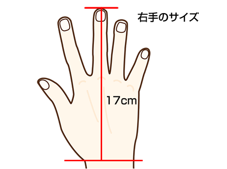 私の右手のサイズ